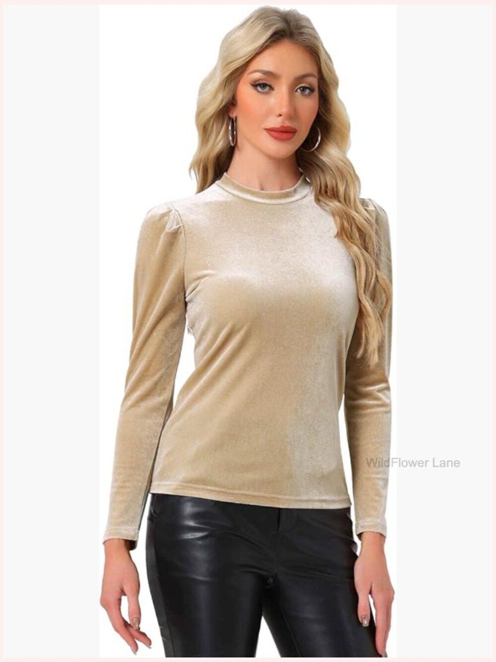 Metallic Velvet Puff Long Sleeve Mock Neck Blouse